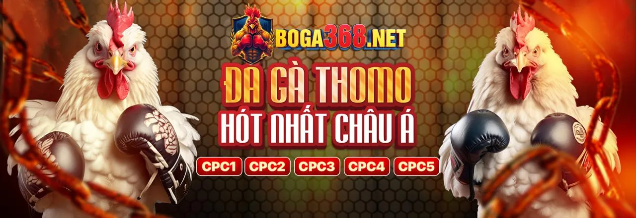 Đá gà trực tuyến kịch tính tại hi8 game bài